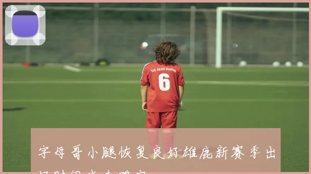 字母哥小腿恢复良好雄鹿新赛季出场时间尚未确定